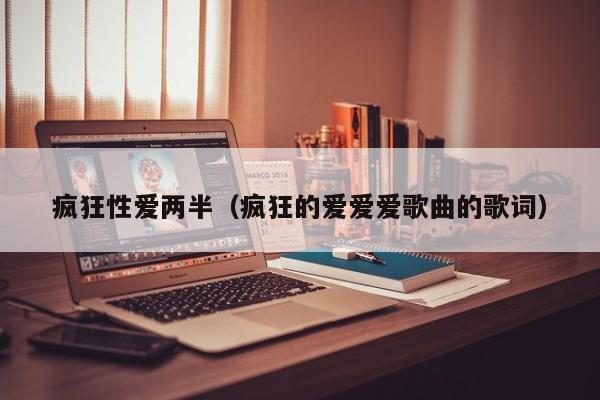 疯狂性爱两半（疯狂的爱爱爱歌曲的歌词）