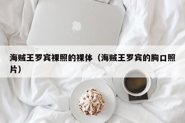 海贼王罗宾裸照的裸体（海贼王罗宾的胸口照片）
