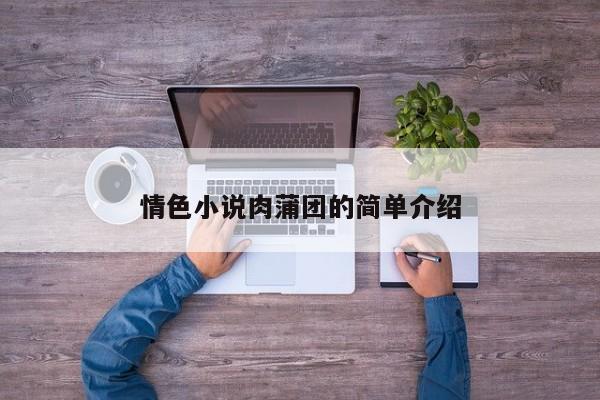 情色小说肉蒲团的简单介绍