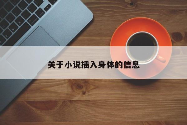 关于小说插入身体的信息
