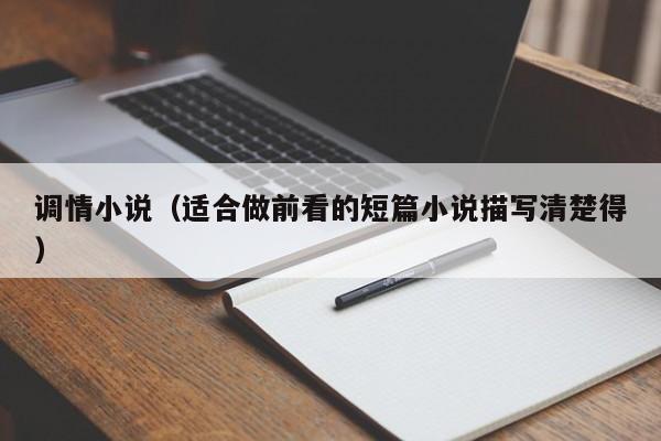 调情小说(适合做前看的短篇小说描写清楚得)