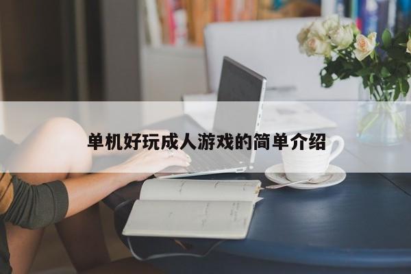 单机好玩成人游戏的简单介绍
