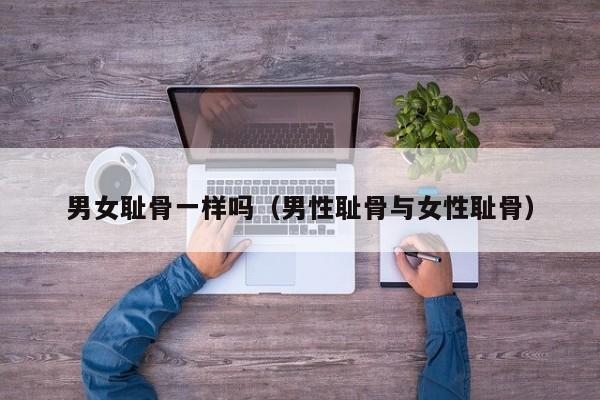 男女耻骨一样吗(男性耻骨与女性耻骨)
