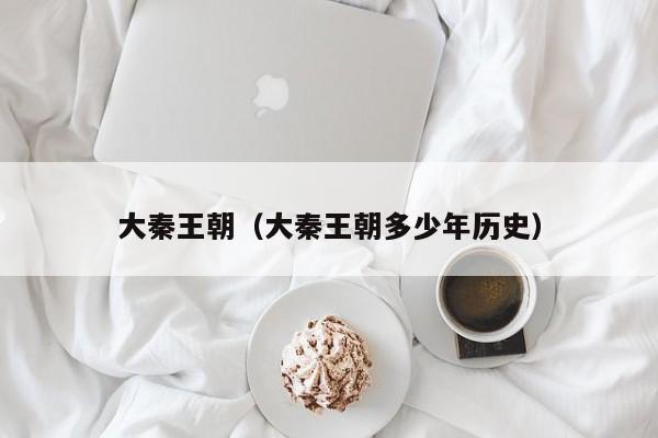 大秦王朝(大秦王朝多少年历史)