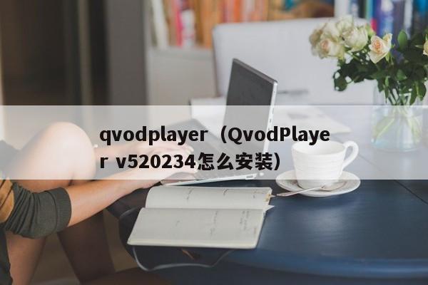 qvodplayer(QvodPlayer v520234怎么安装)