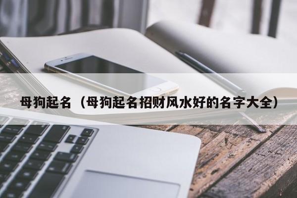 母狗起名(母狗起名招财风水好的名字大全)