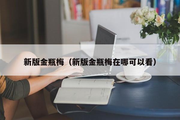 新版金瓶梅(新版金瓶梅在哪可以看)