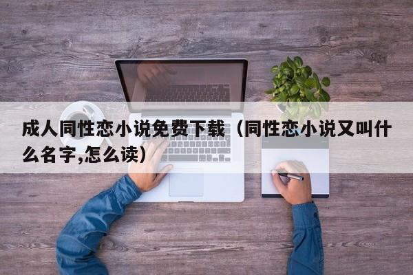 成人同性恋小说免费下载(同性恋小说又叫什么名字,怎么读)