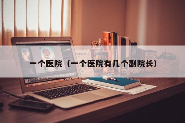 一个医院(一个医院有几个副院长)
