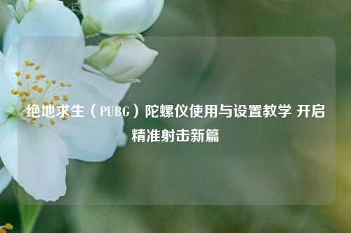 绝地求生（PUBG）陀螺仪使用与设置教学 开启精准射击新篇