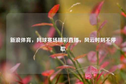 新浪体育，网球赛场精彩直播，风云时刻不停歇