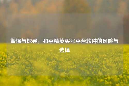 警惕与探寻，和平精英买号平台软件的风险与选择