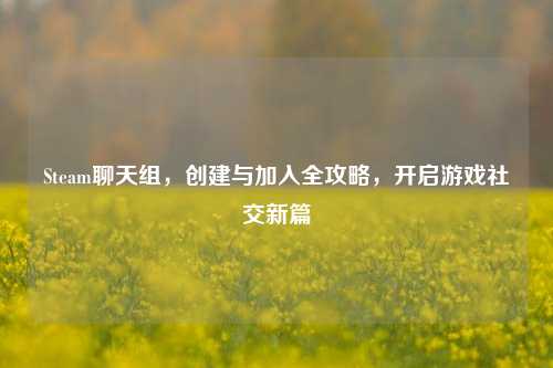 Steam聊天组,创建与加入全攻略,开启游戏社交新篇