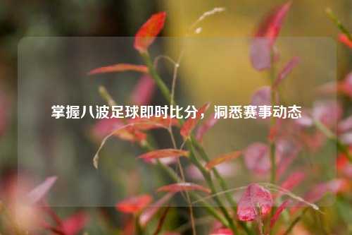 掌握八波足球即时比分，洞悉赛事动态