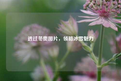 透过冬奥图片，领略冰雪魅力