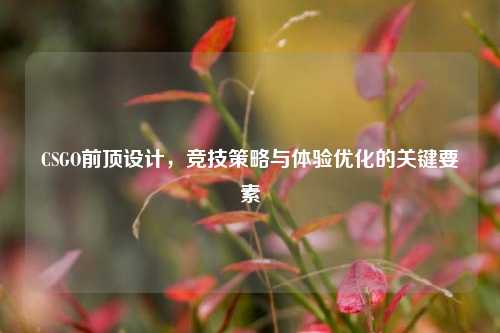 CSGO前顶设计，竞技策略与体验优化的关键要素