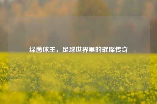 绿茵球王，足球世界里的璀璨传奇