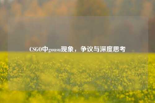 CSGO中gousu现象，争议与深度思考