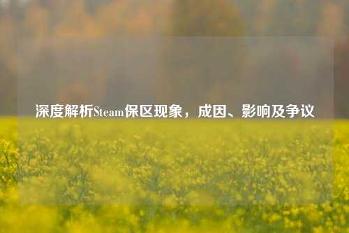 深度解析Steam保区现象,成因、影响及争议
