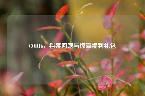 COD16，档案问题与惊喜福利礼包