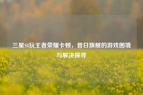 三星S8玩王者荣耀卡顿，昔日旗舰的游戏困境与解决探寻