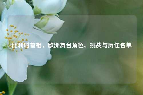 比利时首相,欧洲舞台角色、挑战与历任名单