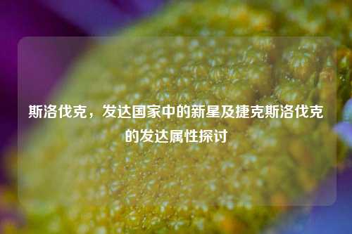 斯洛伐克,发达国家中的新星及捷克斯洛伐克的发达属性探讨