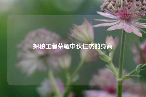 探秘王者荣耀中狄仁杰的身高