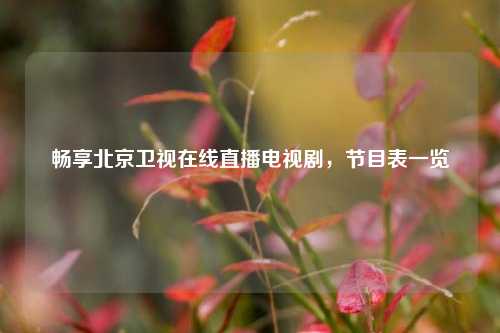畅享北京卫视在线直播电视剧，节目表一览