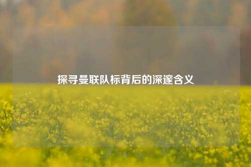 探寻曼联队标背后的深邃含义