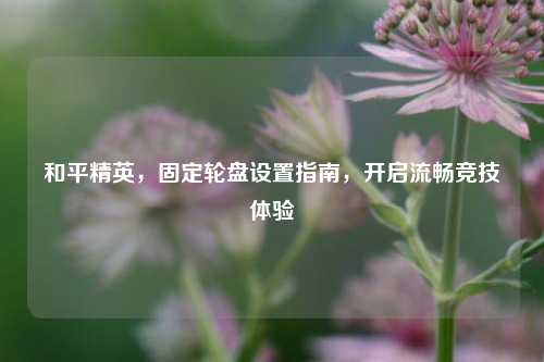 和平精英，固定轮盘设置指南，开启流畅竞技体验