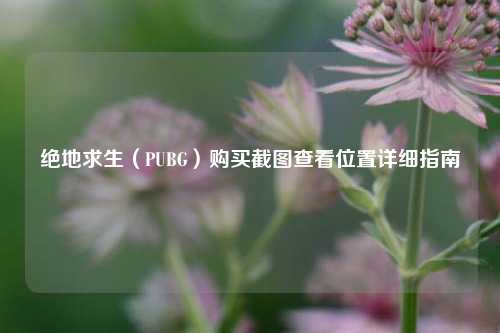绝地求生（PUBG）购买截图查看位置详细指南
