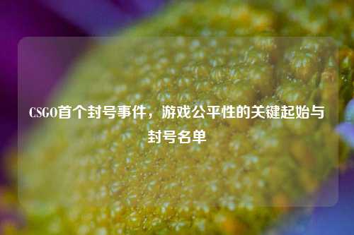 CSGO首个封号事件，游戏公平性的关键起始与封号名单