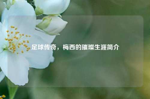 足球传奇，梅西的璀璨生涯简介