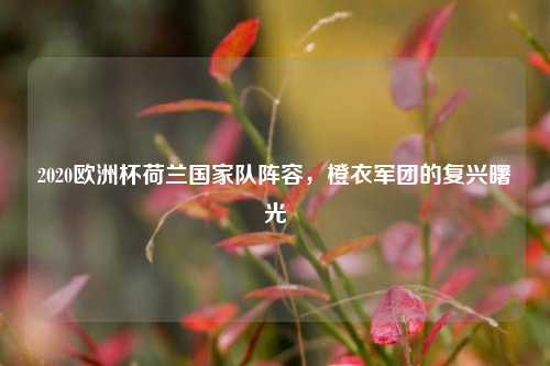 2020欧洲杯荷兰国家队阵容，橙衣军团的复兴曙光