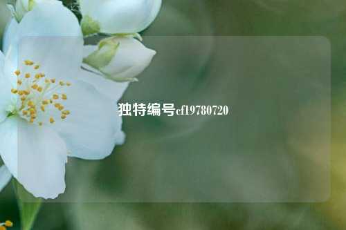 独特编号cf19780720