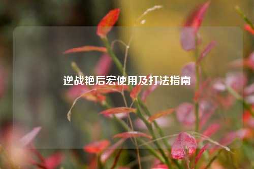 逆战艳后宏使用及打法指南