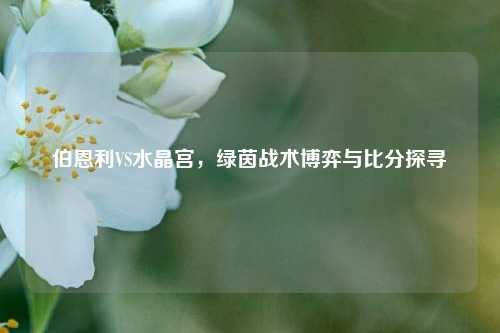 伯恩利VS水晶宫，绿茵战术博弈与比分探寻