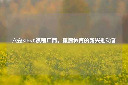 六安STEAM课程厂商，素质教育的新兴推动者