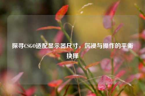 探寻CSGO适配显示器尺寸，沉浸与操作的平衡抉择