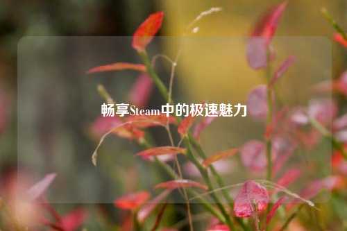 畅享Steam中的极速魅力