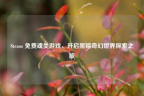 Steam 免费魂类游戏，开启黑暗奇幻世界探索之旅