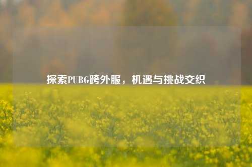 探索PUBG跨外服，机遇与挑战交织