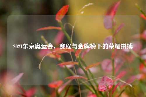 2021东京奥运会，赛程与金牌榜下的荣耀拼搏