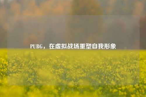 PUBG，在虚拟战场重塑自我形象