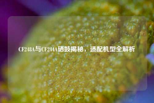 CF248A与CF244A硒鼓揭秘，适配机型全解析
