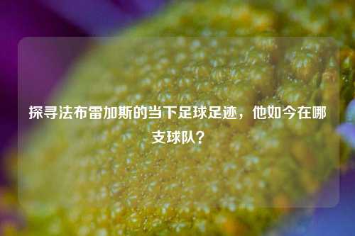 探寻法布雷加斯的当下足球足迹，他如今在哪支球队？