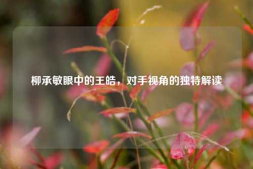 柳承敏眼中的王皓，对手视角的独特解读