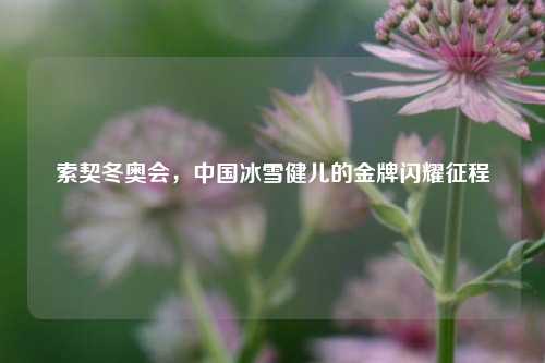 索契冬奥会，中国冰雪健儿的金牌闪耀征程