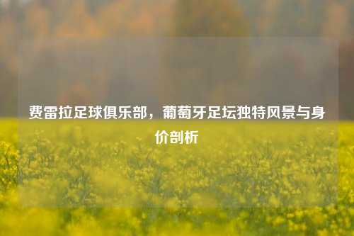 费雷拉足球俱乐部，葡萄牙足坛独特风景与身价剖析